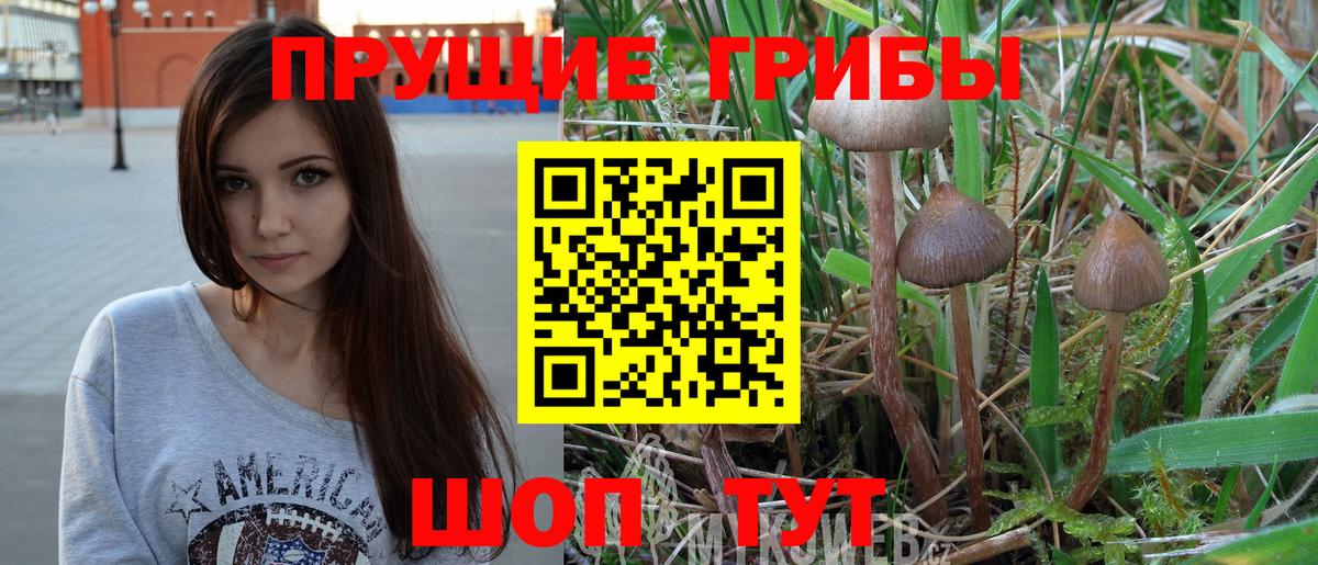Псилоцибиновые грибы MAGIC MUSHROOMS Кимовск