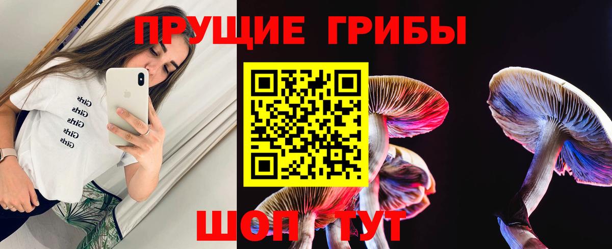 Кимовск  цены   Вход с VPN  Галлюциногенные грибы прущие грибы 